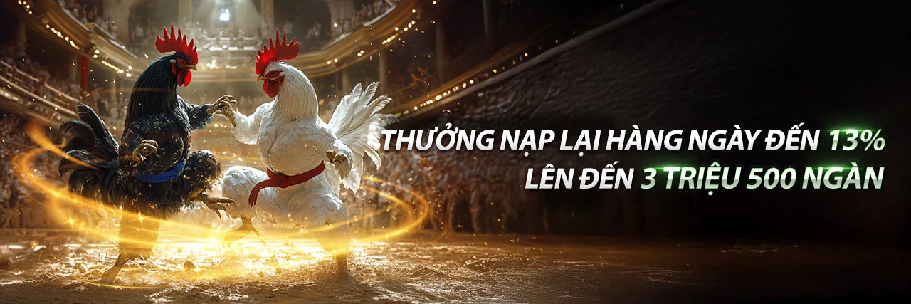 Đá gà trực tuyến zx8806