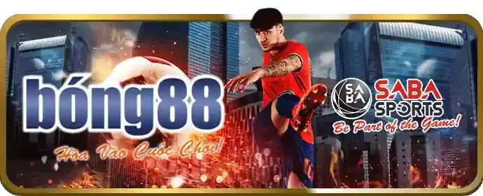 Bước 3: Xác minh và hoàn tất